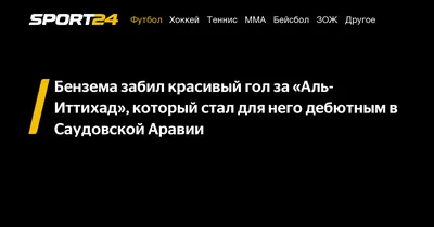 Ветви дерева снегом на него. Смотреть в небо сквозь ветви дерева. Красивые  черные филиала в воздухе. Голые деревья Стоковое Фото - изображение  насчитывающей естественно, наг: 209872056