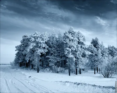 Картинки "Спокойной ночи!" (2829 шт.)