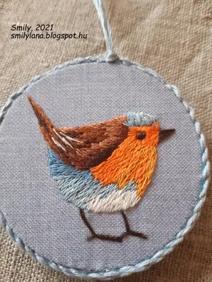 СЛЕДУЯ МЕЧТАМ - FOLLOWING MY DREAMS: Вышивка гладью, малиновка -  Embroidered robin