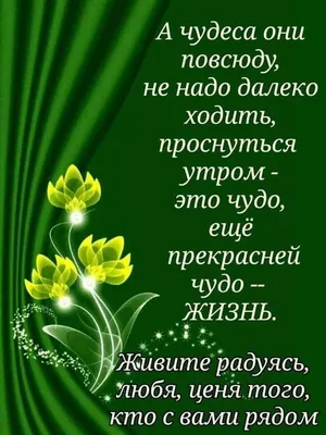 Доброе 🍃🌺🌿 Утро всем моим друзьям! | Доброе утро, Пожелания ко дню  рождения, Утренние сообщения