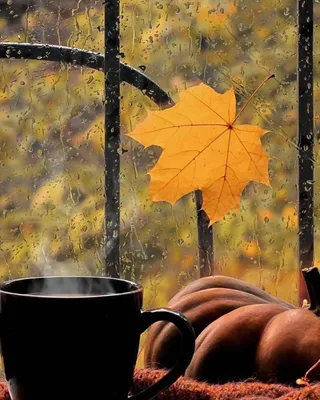 Красивые доброе утро осень картинка #608696 - Дождливое Утро Осени Картинки  С Надписями – Telegraph - скачать