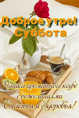 Смешная открытка "Доброго утра субботы!", с ёжиком • Аудио от Путина,  голосовые, музыкальные