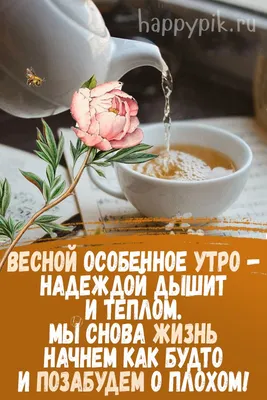 Весеннее 🌸🍃🌞🌿🌸 Утро доброе! | Доброе утро, Утренние цитаты, Смешные  открытки