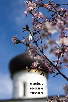 Картинки "Доброго весеннего утра!" (531 шт.)