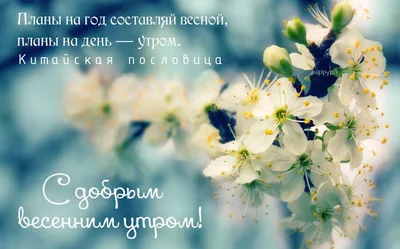 С добрым весенним утром! Красивые картинки о весне с надписями. | Картинки,  Весна, Доброе утро