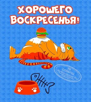 Картинки доброе утро воскресенья лето красивые с надписями (60 фото) »  Картинки и статусы про окружающий мир вокруг