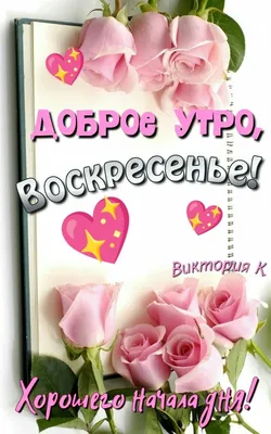 Доброе утро, Воскресенье! | Красивые розы, Доброе утро, Розы