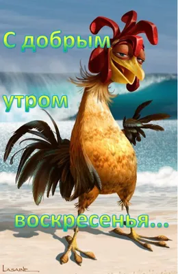 ПОЖЕЛАНИЯ ДОБРОГО ВОСКРЕСНОГО УТРА!КРАСИВАЯ МУЗЫКАЛЬНАЯ ОТКРЫТКА! - YouTube