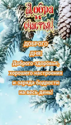 Картинка доброго зимнего дня и хорошего настроения | Открытки, Смешные  открытки, Надписи