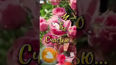 Pin de Expresa Todo Con Amor 💘 en Martes [Video] | Saludos d buenos dias,  Buenos días saludos, Saludos de buenos dias