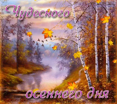 Осенние открытки "Доброго дня!" (231 шт.)