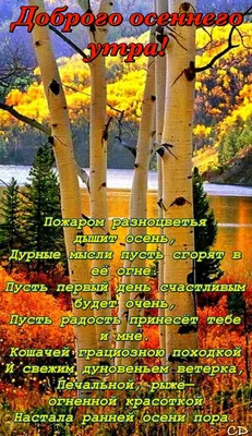 Доброго осеннего вечера картинки с надписями красивые (33 фото) » Красивые  картинки, поздравления и пожелания - 