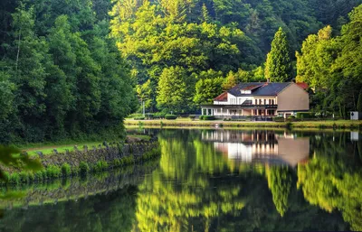 Дом в лесу у озера - красивые фото