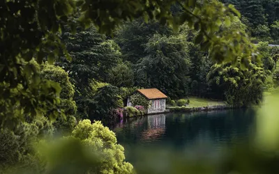 Дом у озера (60 фото)