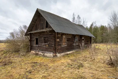 Какие бесхозные дома продаются по бросовым ценам. Смотрим варианты