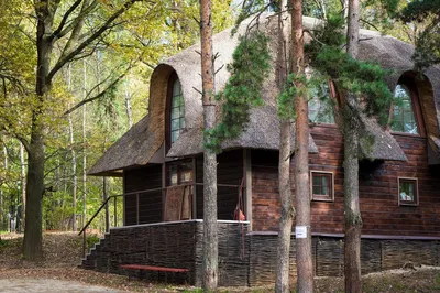 Подборка самый красивых домов в лесу.