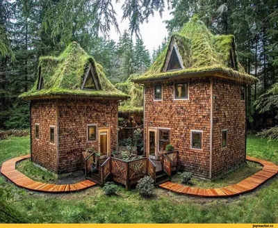 Треугольный домик в лесу - красивые фото