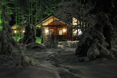 Пазл домик в зимнем лесу - разгадать онлайн из раздела "Природа" бесплатно