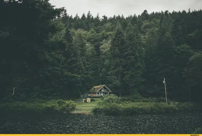 Самые красивые дома в лесу — Укрбио