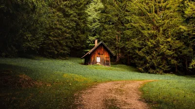 Красивый домик в лесу - 85 фото