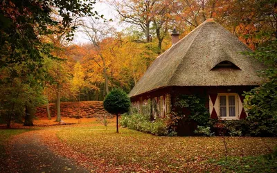 Красивые дома из дерева в лесу - 78 фото