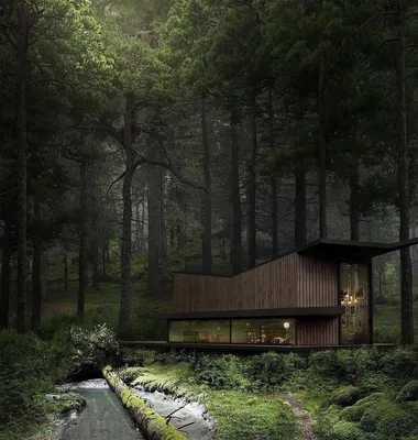 Стеклянный домик в лесу - 72 фото