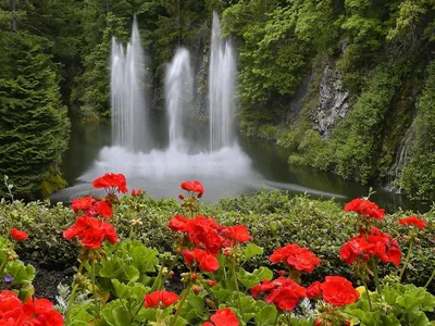 Зимнее солнце / вода :: лед :: снег :: солнце :: зима :: Природа (красивые  фото природы: моря, озера, леса) / смешные картинки и другие приколы:  комиксы, гиф анимация, видео, лучший интеллектуальный юмор.