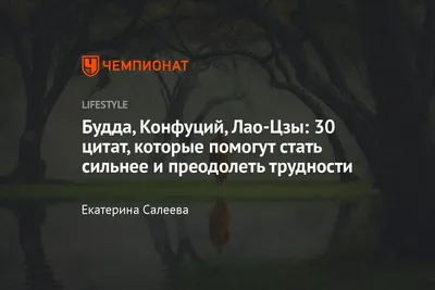 Гармония с природой — не красивые слова, это философия жизни. | Центр  реабилитации диких животных "Ромашка" | Дзен