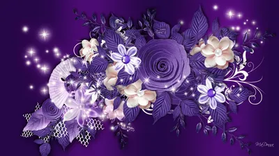Красивые фиолетовые цветы - 60 фото