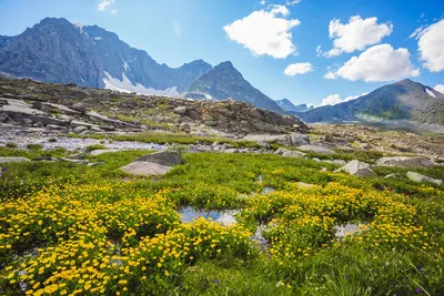 DAGESTAN (RUSSIA) in 4K. The most beautiful places in Dagestan Republic.  TOP 50 - YouTube