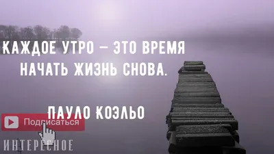 30 мудрых цитат о жизни, людях со смыслом Любимые цитаты на каждый день |  Глоток Мотивации | Дзен