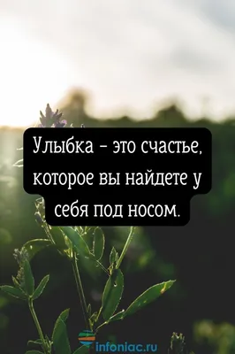 80 красивых цитат и статусов про улыбку, поднимающих настроение :: Инфониак