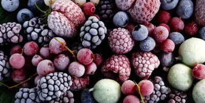 Красивые фрукты и ягоды картинки красивые