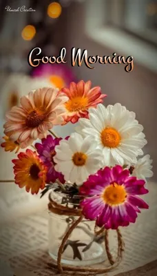 доброе утро доброго дня красивые открытки картинки | Good morning images,  Morning images, Good morning