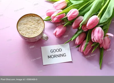 Bouquet of beautiful tulips, paper with text GOOD MORNING and cup of coffee  on color background :: Stock Photography Agency :: Pixel-Shot Studio