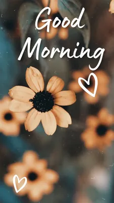 Good good morning sweet flowers готовые сторис | Good morning happy friday, Good  morning flowers gif, Good morning flowers