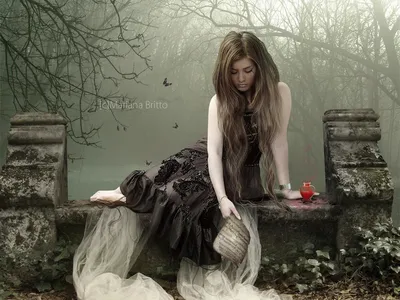 Gothic bouquets. Готические букеты. PNG | Букет, Готический, Цветы