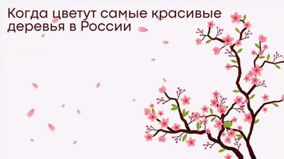 Бесплатное изображение: Искусство, Цвет, Иллюстрация, яркий, движение,  живопись, красивые, графика