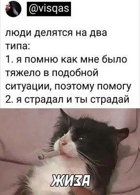 Красивые и прикольные картинки