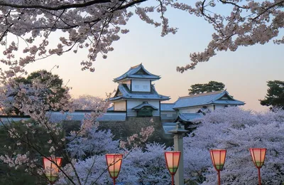 15 самых красивых мест Японии » 