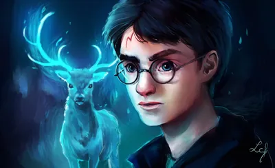 Невероятно красивые обложки книг про Гарри Поттера, их можно рассматривать  бесконечно, найдёте все детали? - Чемпионат