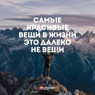 100 необычных цитат про жизнь в картинках – Блог Canva