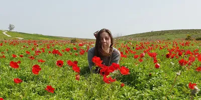Цветочные поля Израиля: 8 красивых мест для весенней фотосессии. Детали:  Hовости Израиля