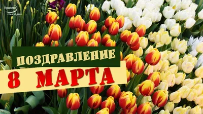 Нежные открытки на 8 Марта открытки, поздравления на 