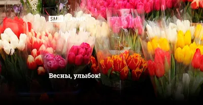 Как провести 8 марта одной? 3 сценария дня для себя