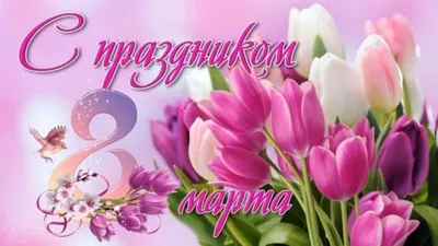 Красивые тюльпаны на 8 марта открытки, поздравления на 