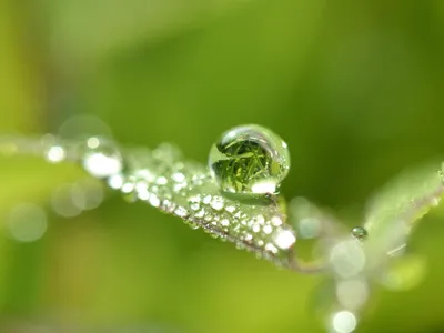 Капли воды - красивые картинки (99 фото)