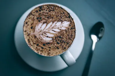 Latte-art Instagram Story, или как я учился рисовать на кофе — Teletype