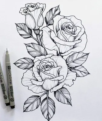Как НАРИСОВАТЬ КРАСИВЫЙ Цветок карандашом Простые домашние рисунки / How ty  draw flower - YouTube