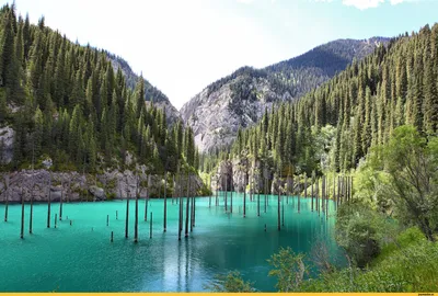 Discover the Wonders of Central Asia with Minzifa Travel
